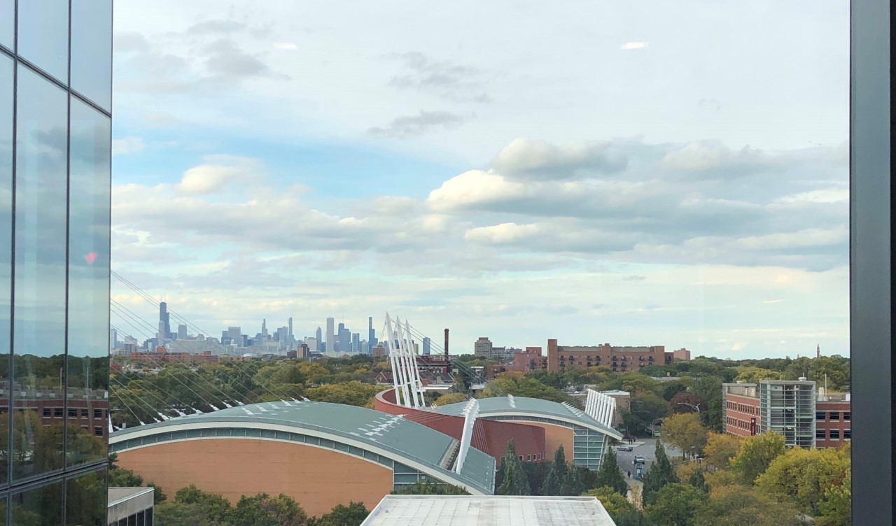 The view from the top floor study room in the Eckert Research Center, University of Chicago. Photo credit: Danielle Woods